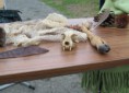 /album/a19-4-den-zeme/den-zeme-6-jpg/